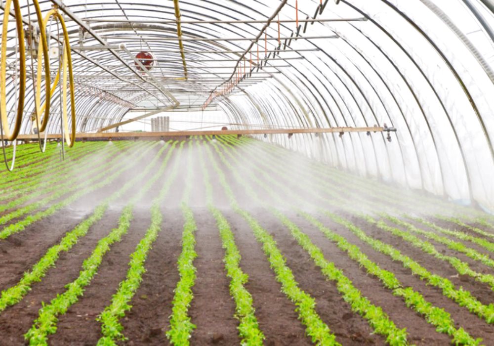 GESTIRE L’ACQUA CON IL TELERILEVAMENTO
Un nuovo progetto per la FAO