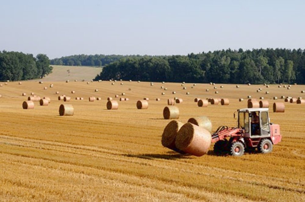 Tornare all'agricoltura
I giovani sono sempre più numerosi 