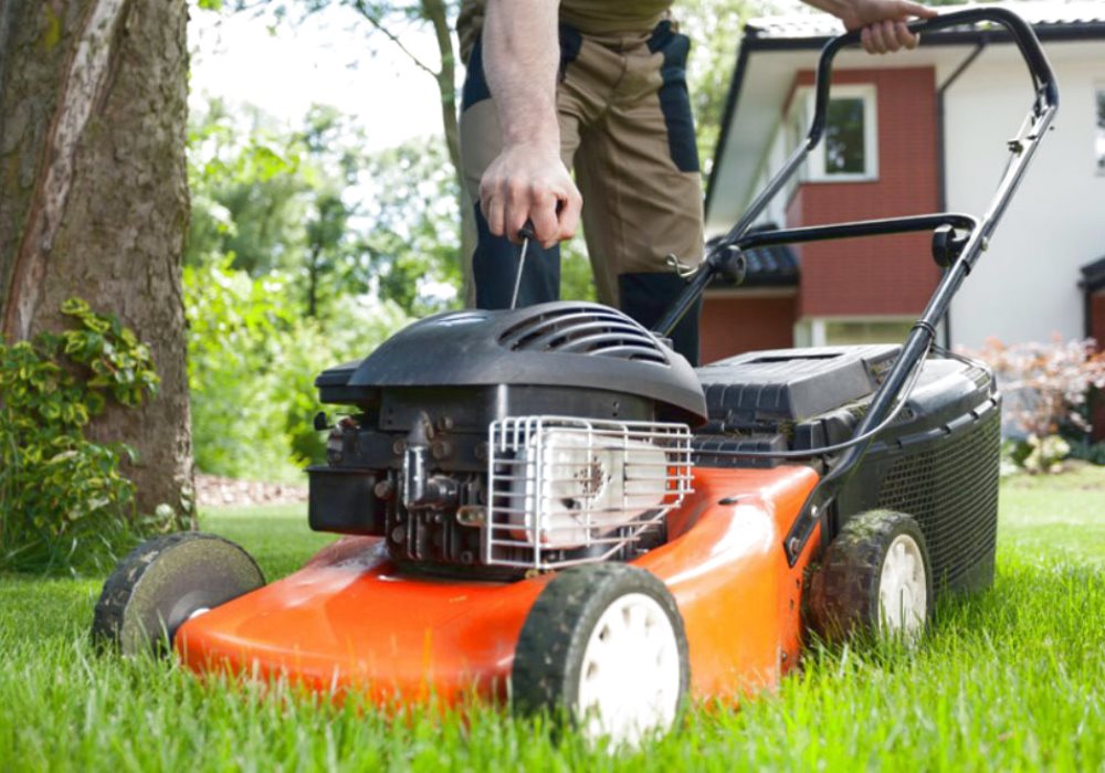 Sistemi di irrigazione per il giardino Per sprecare meno acqua e avere  fiori sempre rigogliosi Acquatravel shop